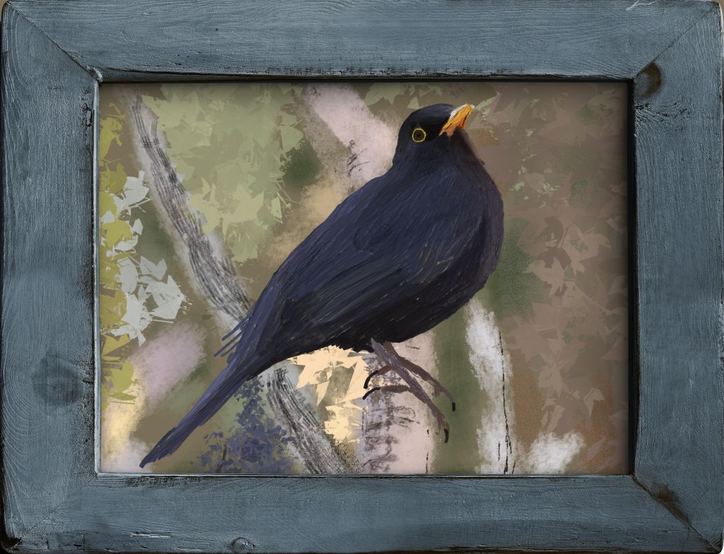 Blackbird image 4