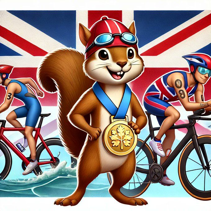 Triathlon: Mens Individual  Gold medal