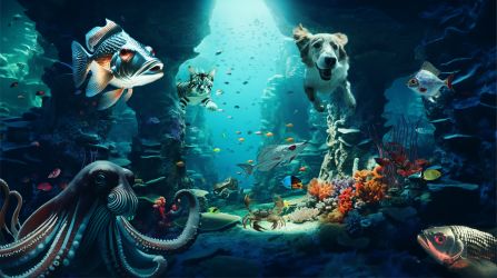 Aquarium