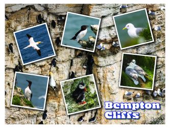 BemptonCliffs Final