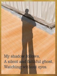 Shadow