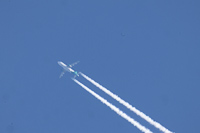 EI-GAM
