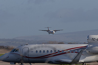 G-LMTE