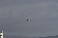 LX-LQJ