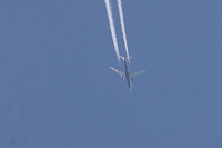 EI-IGZ