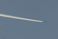 G-TNEF