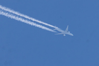 F-HUVQ