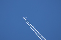 G-HLYN