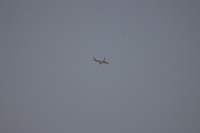 G-VNEW