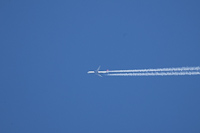 N431DX