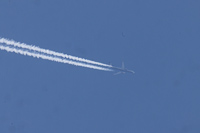 SP-RZO