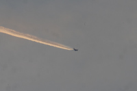 G-XWBJ
