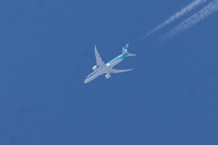 F-OMUA