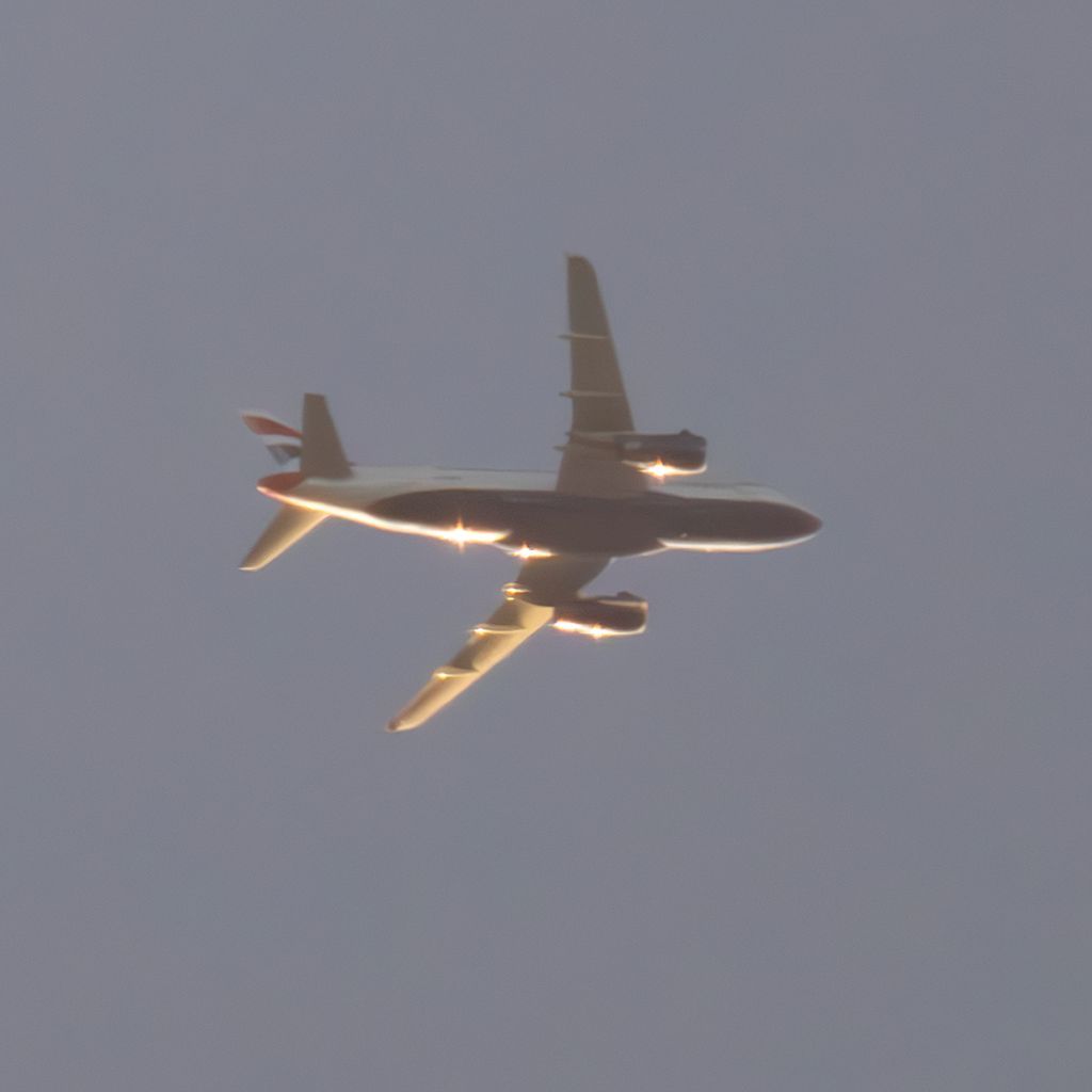 G-EUPD: British Airways  Airbus A319-131