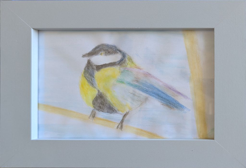 Great tit